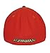 Aquaman Logo Orange Fitted New Era 39Thirty Cap