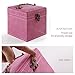 Exact Design 3-Tiered Removable Jewelry Box/Makeup Organizer/Storage with Mirror Pink