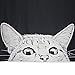 Mexidi Tapestry Wall Hangings Wall Blanket Art Dorm Shawl Beach Towel Throw Tapestry Decor Bedspread Bedroom Living Kids Girls Boys Room Dorm Accessories 51x59inchs (Cat)