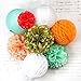 SUNBEAUTY Coral Mint Peach Paper Lanterns Honeycomb Balls Tissue Pom Poms Flower Home Party Backdrop Wedding Baby Shower Event Decoration