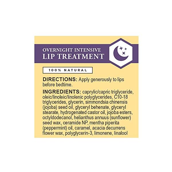 Burt's Bees Lip Mask, Overnight Lip Treatment, Intense Lip Repair with Ceramides & Ultra-Conditioning Oils, 7.08g
