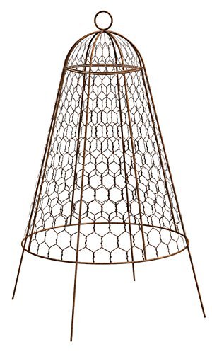 BestNest Bulk Comprar 12 Pinzas de Alambre rústico Panacea, 50, 8 ...