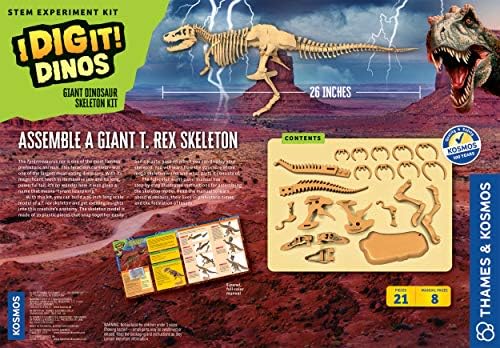 dinosaur science kit
