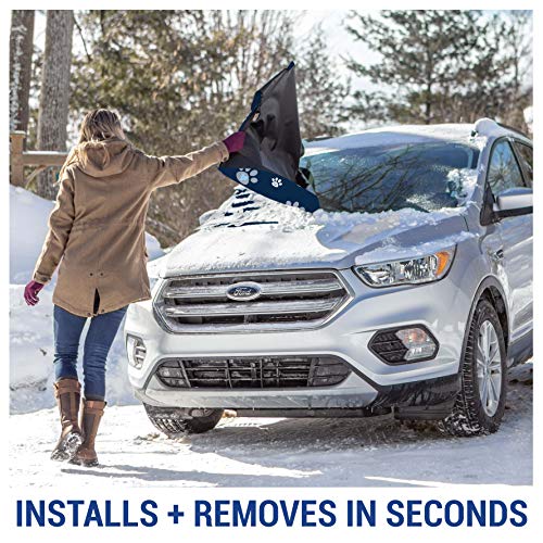 1 FrostGuard+Premium+Windshield+Security+Protects