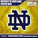 University of Notre Dame Fighting Irish 2019 Sports Calendar by 