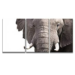 Elephant x3 Panels