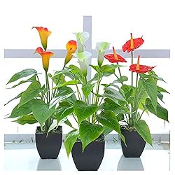 Artificial Flower Calla Lily Faux Small Potted