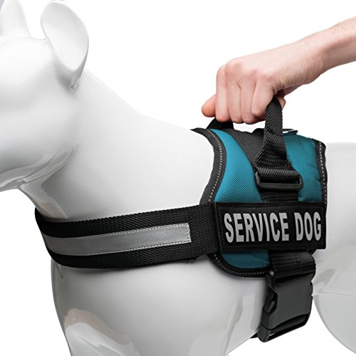 Service Dog Vest with Hook and Loop Straps and Handle - Harness is Available in 8 Sizes from XXXS to XXL - Service Dog Harness Features Reflective Patch and Comfortable Mesh Design (Teal, Medium)