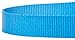 Country Brook Petz | Vibrant 21 Color Selection | Nylon Dog Leash (Ice Blue, 1 inch Width, 6 Foot)