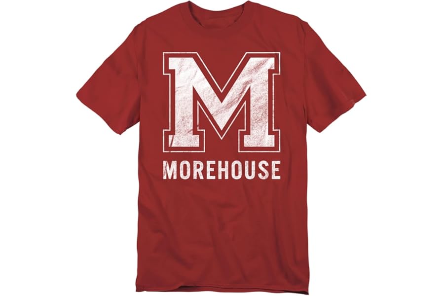 LOGOVISION Official Collegiate Distressed Primary Logo Adult T-Shirt Collection