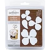 Spellbinders SR-005 Contour Steel Rule Dies, 5.5