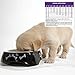Wellness Natural Pet Food Complete Health Natural Dry Large Breed Puppy Food, Chicken, Salmon & Rice, 30-Pound Bag