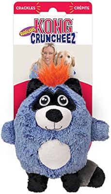 kong raccoon