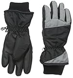 Nolan Gloves Big Boys' Polar Peak Color Block Ski Glove, Grey, Large/X-Large