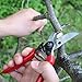 Sidex - Classic Garden Shears - Hand Pruning Tree and Hedge Scissors, Bypass Shear with Safety Lock