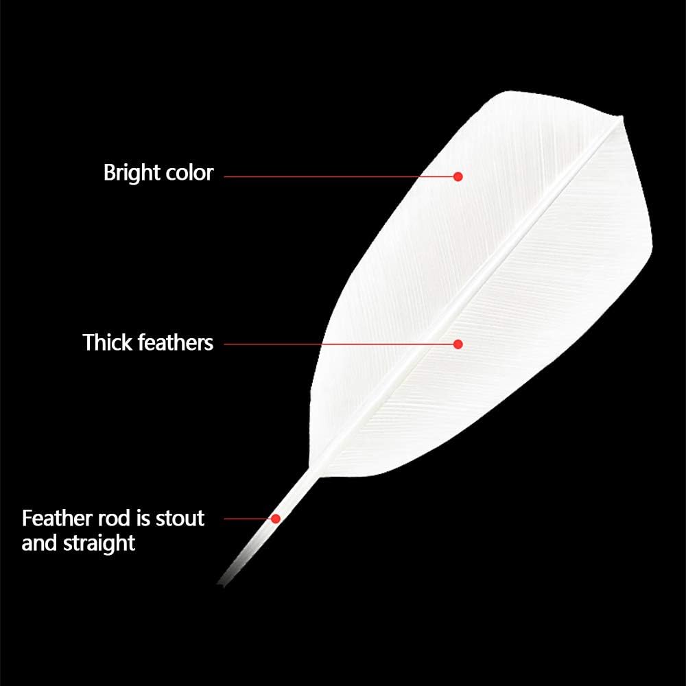 KEVENZ Goose Feather Badminton Shuttlecocks with Great Stability and Durability, High Speed Badminton Birdies-12PK (White) : Sports & Outdoors