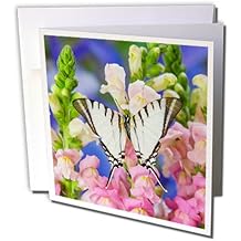 Paper kites band image