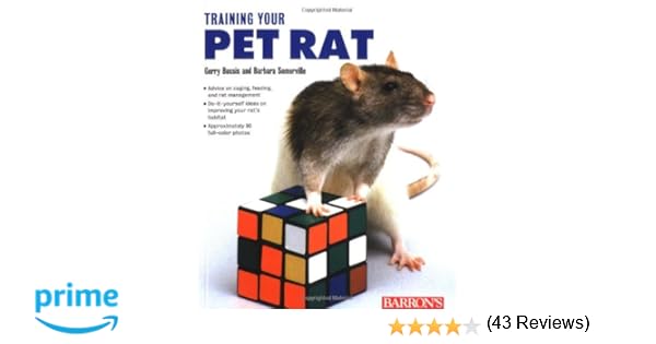 Showtime Full The Rats Online Free