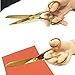 7 Inch Gold Tailor Scissors Golden Straight Recycled Stainless Steel Dressmaker Fabric Shears Tailors Sewing Scissors for Costume Crafts Arts Fabric Cutting Shears Tool