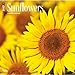 Sunflowers 2017 Wall Calendar 12