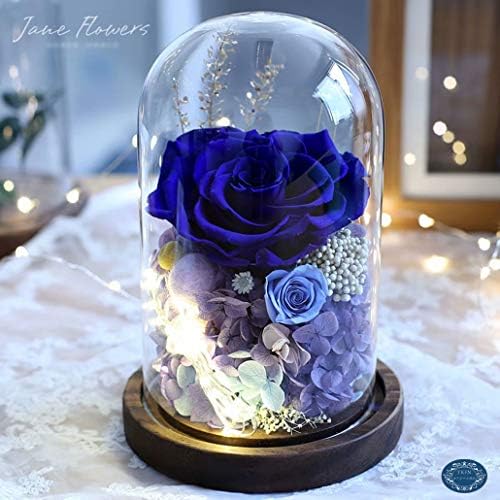 プリザーブドフラワー ドライフラワー バラ ロース 誕生日 プレゼント おしゃれ 枯れない花 メッセージカード付き ケース入り 手提げ袋付き Ledライト付き ロマンチック 花 フラワー ドーム アジサイ 赤い ピンク ブルー 女性 恋人 妻 彼氏 友達 母 祖母 義母 上司 同僚