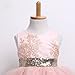 HOTONE Newborn Toddler Baby Girls Floral Sleeveness Lace Princess Dresses Tutu Sundress (6-12M, Pink)