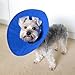 Alfie Pet - Cobalt Recovery Collar (for Dogs & Cats) - Color: Blue, Size: L