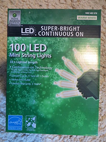 Home Accents LED Mini Lights - Image 4