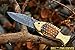 DKC Knives (12 7/18) DKC-593 Sun Fish Mouth Open Bass Trout Fishing Pocket Folding Damascus Hunting Knife Brass & Bone Folded 9.5oz 4.5