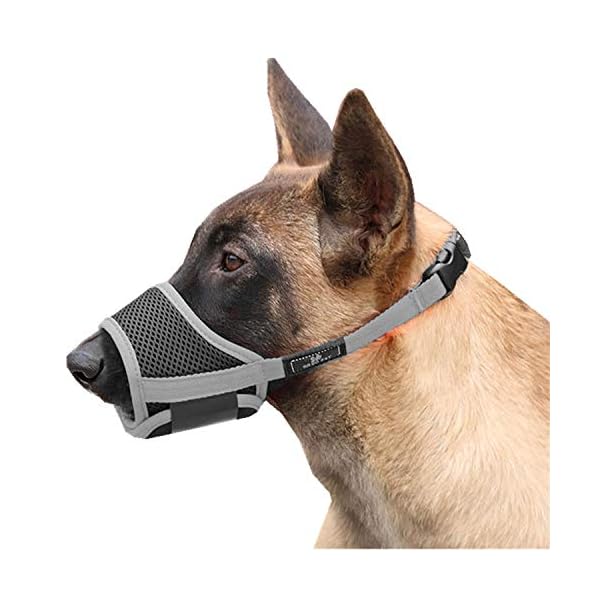 muzzle nylon