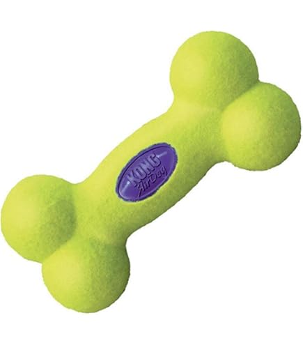 Pet Supplies : KONG AirDog Bone Sm : Amazon.com