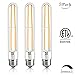 T10/T30 LED Bulbs,Tubular Edison Style LED Filament Bulb,6W Dimmable T10 Nostalgic Led Light Bulb, E26 Medium Base, 2700K Warm White,550LM,Clear Glass Cover, 3Pack