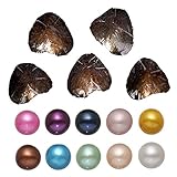Freshwater Aquaculture Love Wish Pearl Shell Surprise To Explore Oyster Pearls Potato mixed colors 7-8mm 10PCs/Pack