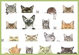 Caspari Entertaining Kitties Assorted Blank Notecards, Box of 8