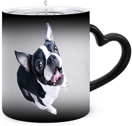 Amazon Co Jp かわいいボストンテリア リュッ Dog変色マグ温度感覚変色コーヒーカップセラミックカップ変色ミルクコーヒーカップカップルギフト330ml Kitchen Housewares Amazon Co Jp かわいいボストンテリア リュッ Dog変色マグ温度感覚変色コーヒーカップセラミックカップ変色ミルクコーヒーカップカップルギフト330ml Kitchen Housewares