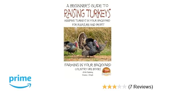 A Beginner S Guide To Raising Turkeys Raising Turkeys In Your