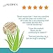 AUBREY Calming Skin Therapy Moisturizer | Soothes, Softens & Hydrates Sensitive Facial Skin | Sea Aster & Aloe Vera | 75% Organic Ingredients | 1.7oz