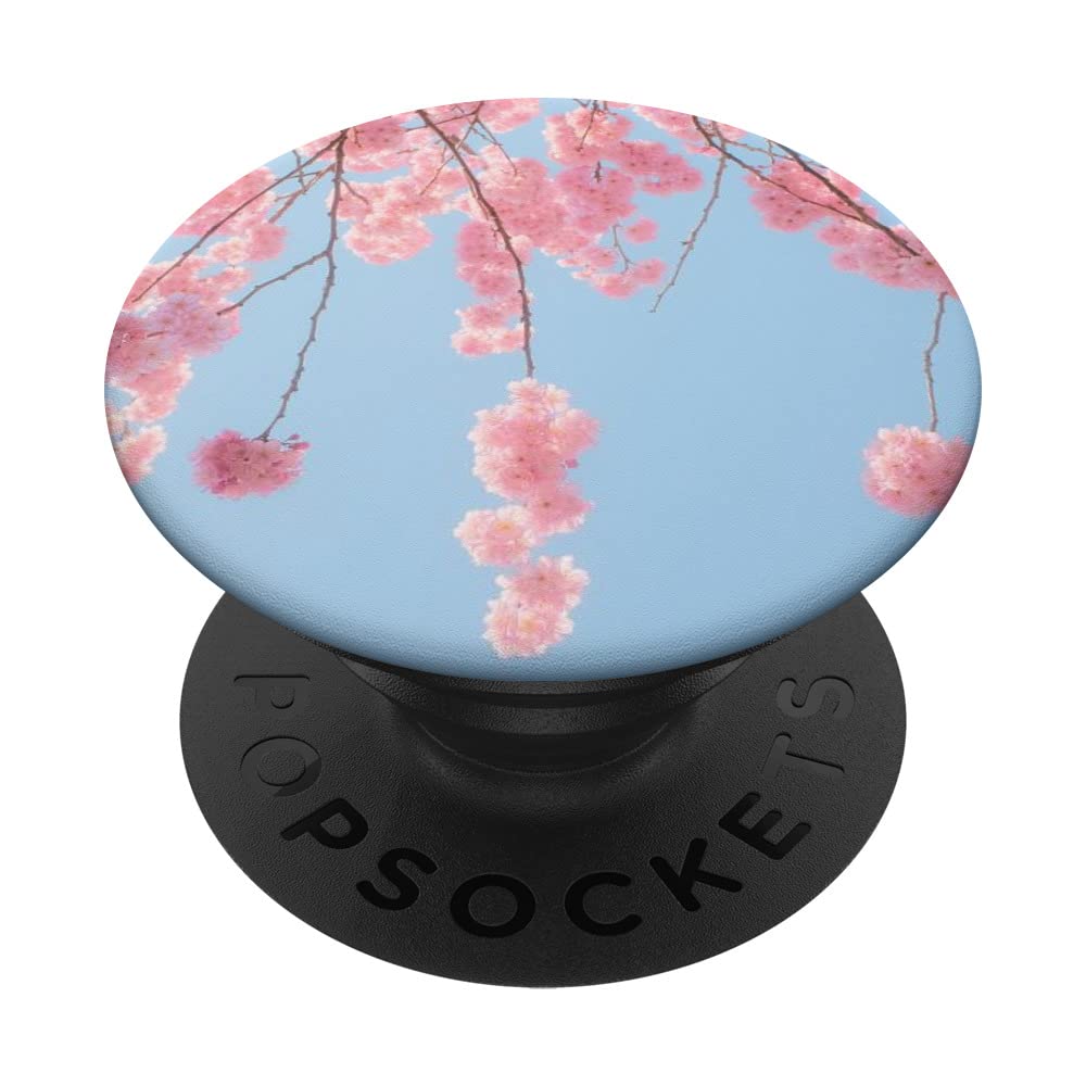 Cherry Blossom Sakura Pink PopSockets Swappable PopGrip