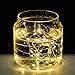 12 Pack 20 LED Starry String Lights CR2032 Battery Operated, Warm White Fairy LEDs on 5ft Silver Coated Copper Wire