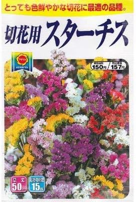 Amazon 美色混合 スターチス 春 秋まき 4 花