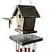 Rainningy Birdhouse Wind Chimes - A Bird House Made Wood Bamboo