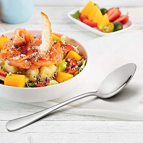 LIANYU Dinner Spoons Set of 12, Stainless Steel Serving Spoons, Flatware Silverware Table Spoon, Mirror Finish, Dishwasher Safe