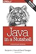 Java in a Nutshell: A Desktop Quick Reference