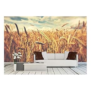 Sunny Wheat Field - Removable Wall Mural | Self-Adhesive Large Wallpaper - 66x96 inches
