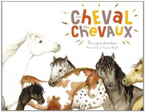 Un  cheval, des chevaux