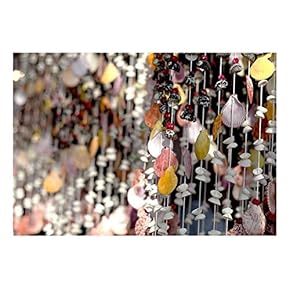 Sea Shells on Strings - Wall Mural, Removable Sticker, Home Decor - 66x96 inches