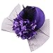 Coolr Women's Fascinator Flower Hair Clip Feather Burlesque Punk Mini Hat Purple