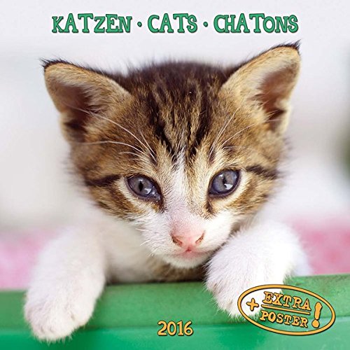 Cats (161004) (English, Spanish, French, Italian and German Edition)