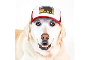 PupLid Trucker Hats for Dogs (Large) Premium Stylish Sun Protection for The Modern Dog - Adjustable for Secure Comfortable Fit on Active Dogs (Red, Bear)