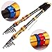 Sougayilang Portable Telescopic Fishing Rod and Reel Combos Travel Spinning Fishing Pole Kits